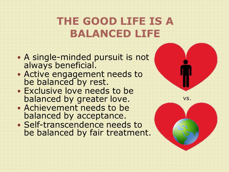 single-minded pursuit means single-minded pursuit means